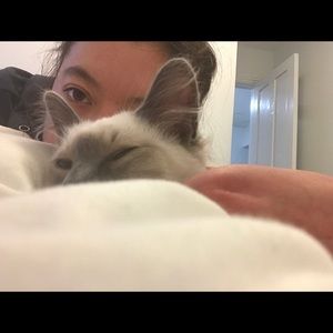 Meet your Posher, Whitney